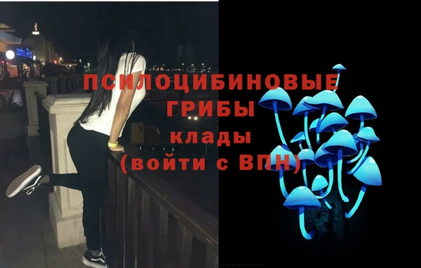 а пвп мука Арсеньев