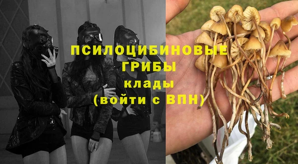 а пвп мука Арсеньев
