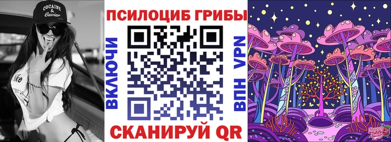 хочу   Ликино-Дулёво  KRAKEN зеркало  Галлюциногенные грибы Cubensis 